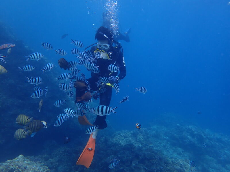 沖繩PADI AOW 潛水旅遊