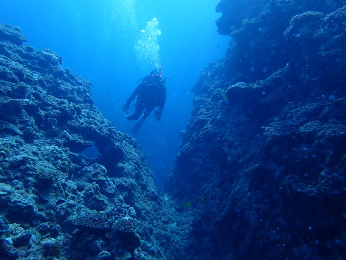 沖繩潛水 AOW 潛水旅遊