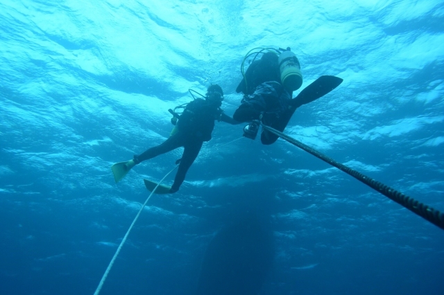 沖繩青洞 潛水｜在青洞比較淺的地方潛水的感覺 外加餵魚｜黑潮潛水