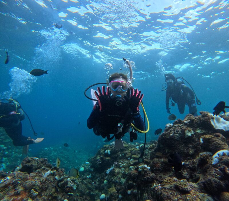 FUN DIVE 持證潛水 熱鬧非凡 黑潮潛水