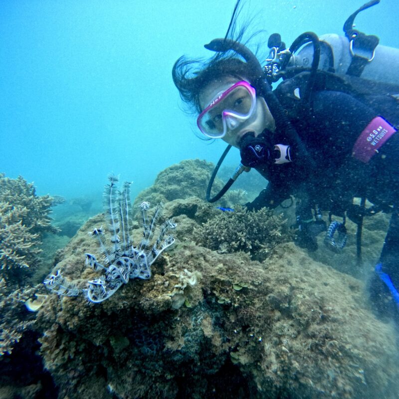 沖繩 OWD 證照 中文課程 黑潮潛水 中文教練