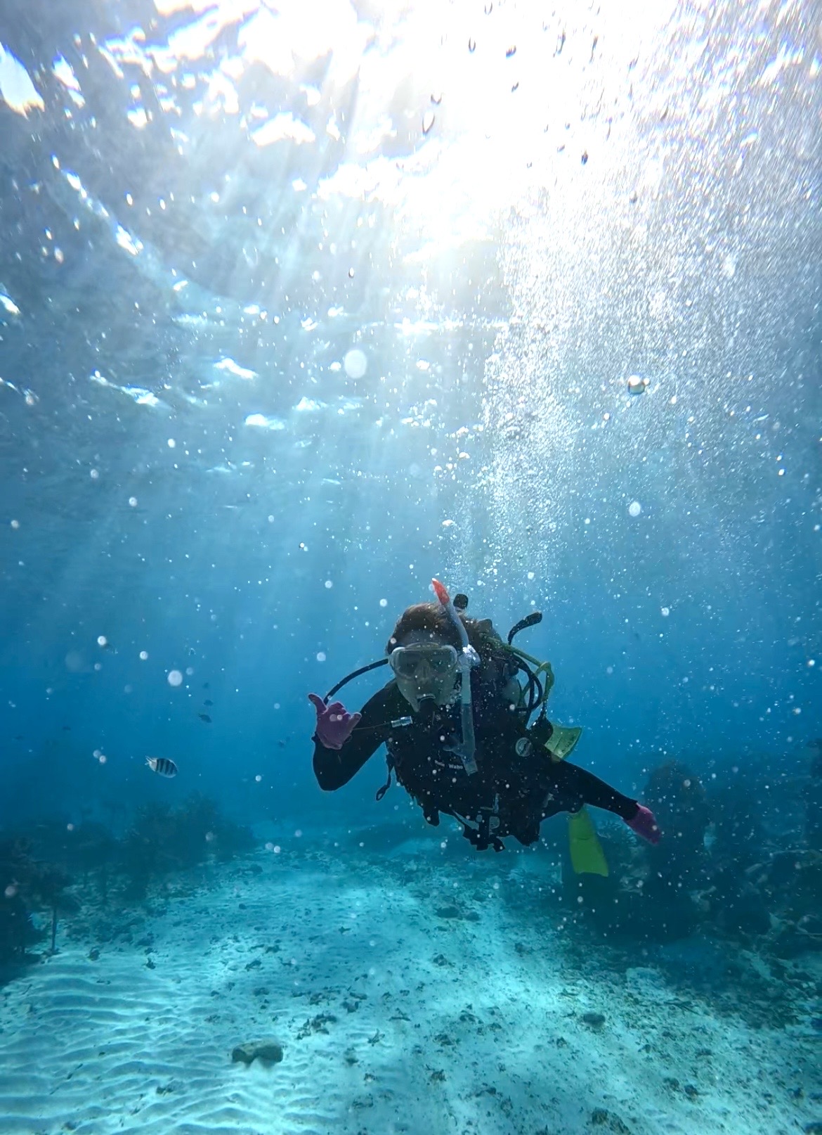 沖繩 持證潛水 中文服務 夢幻礁