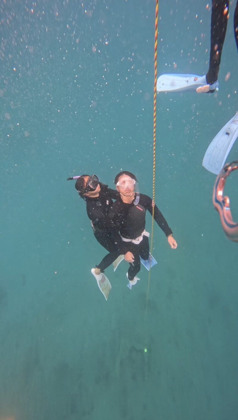 FREE DIVE 持證潛水 自由潛水 黑潮潛水