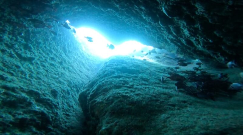 【🌊萬座潛水｜挑戰沖繩經典高階潛點！🤿✨】