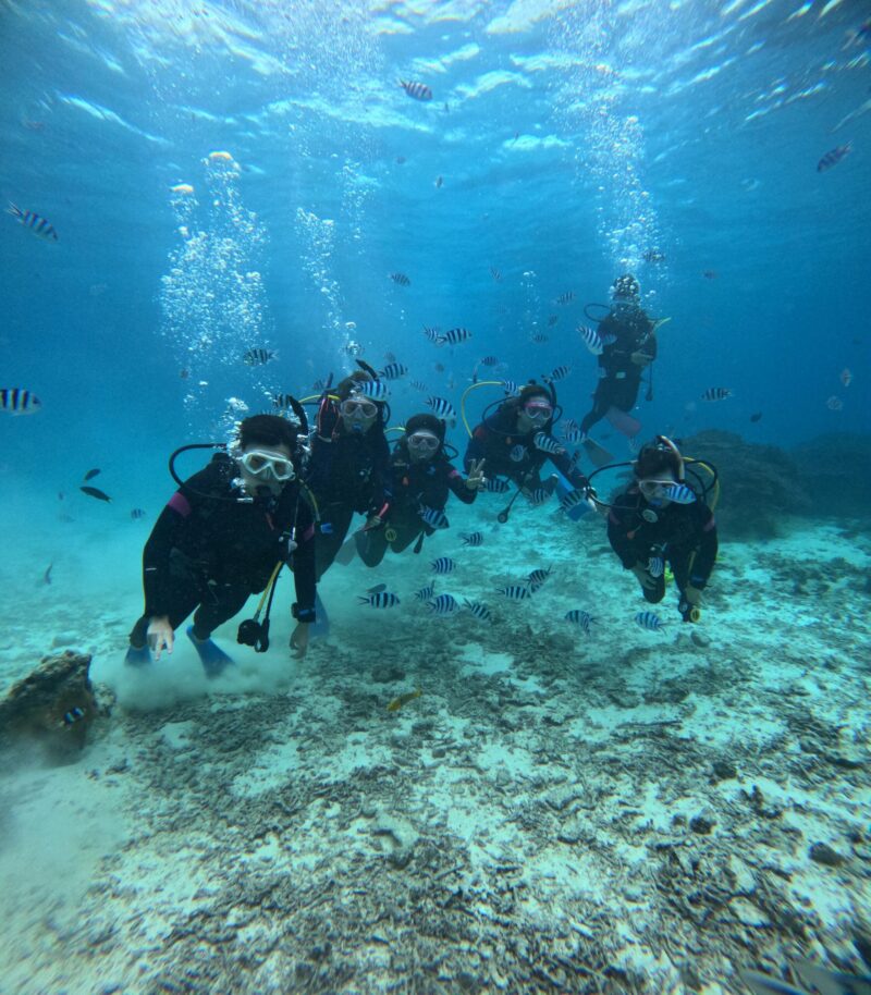 PADI 梦幻礁 持证潜水 中文教练 冲绳