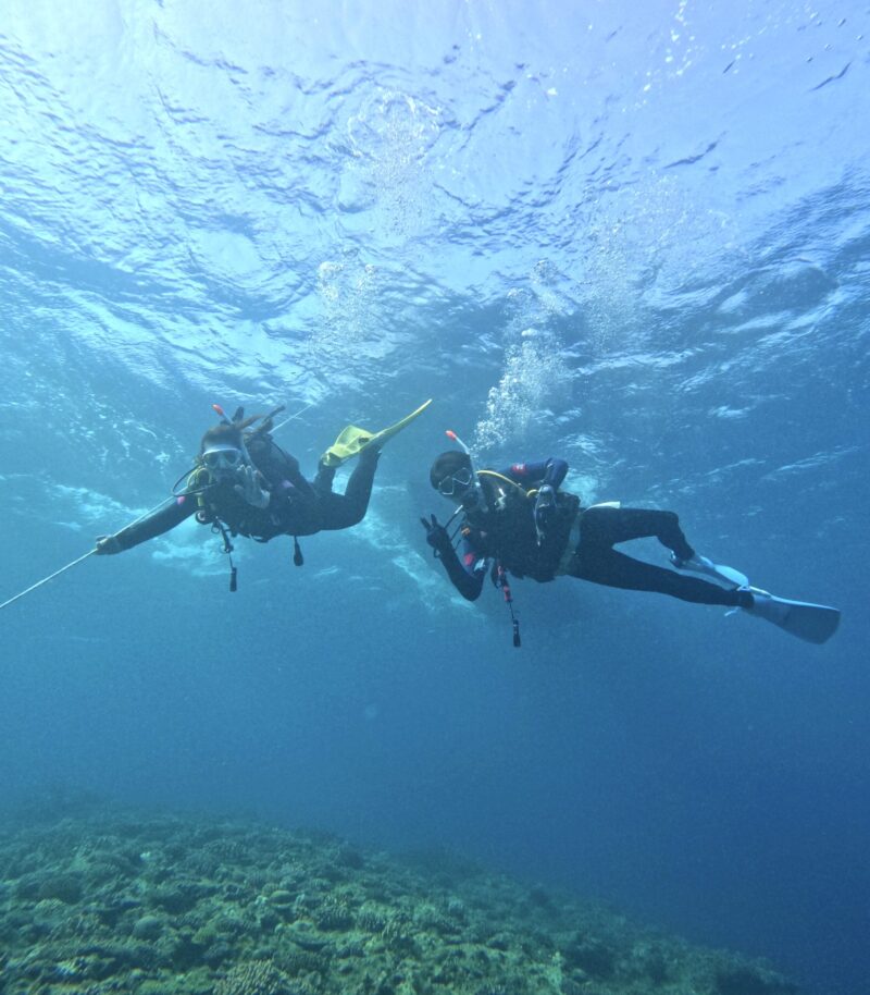 冲绳 持证潜水 PADI 万座毛潜点 黑潮潜水