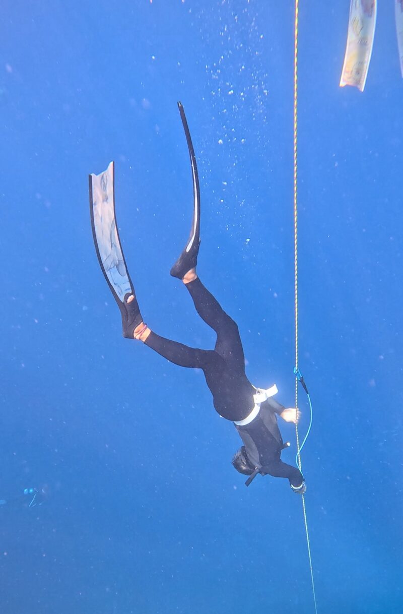 自潛課程 Free Dive 自由潛水 初學者也OK 黑潮潛水