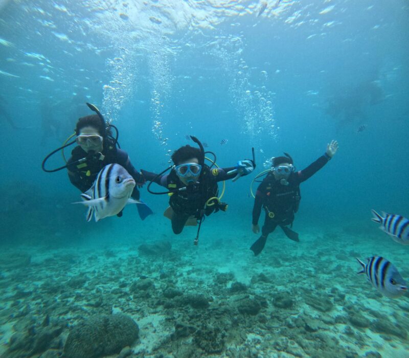 沖繩 PADI 潛水 中文教練
