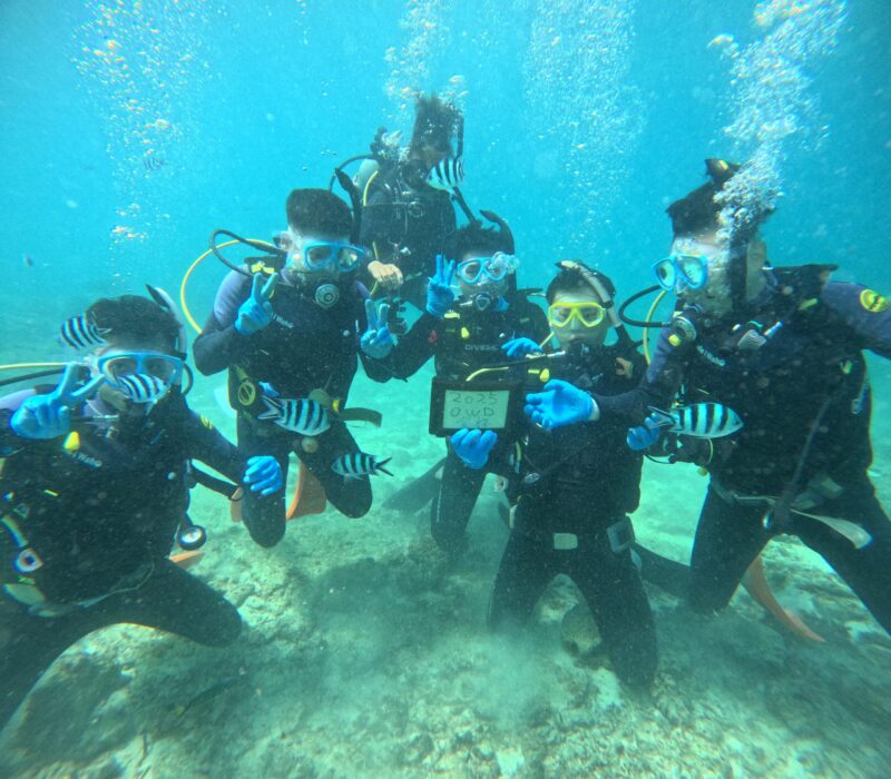 冲绳 OWD 中文教学