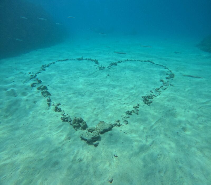 梦幻礁 青洞 冲绳海