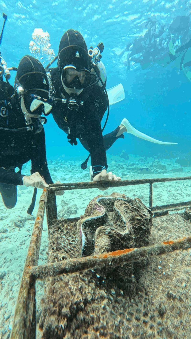 潛水 浮潛 中文說明 中文教練