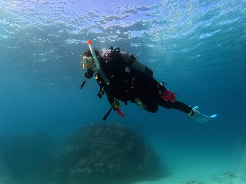 冲绳 潜水 PADI