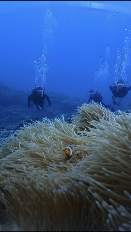 黑潮潛水 中文教練 FUN DIVE